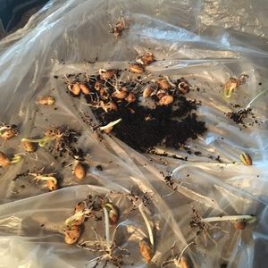 Meet your Posher, Hailey